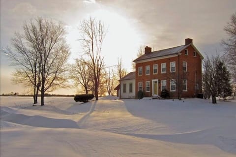 Rufus Abbott in winter! 