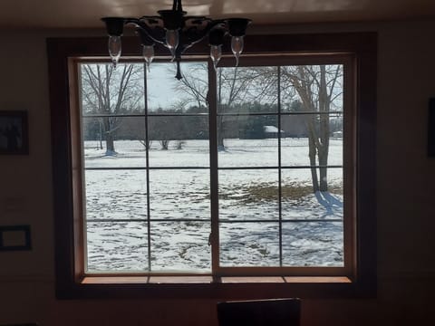 Looking out the dining room window