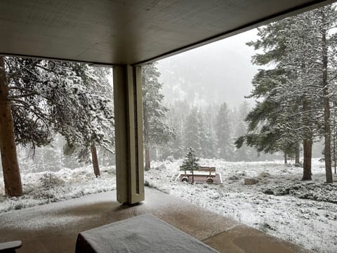 Looking out den sliding glass doors at the first snow of the season