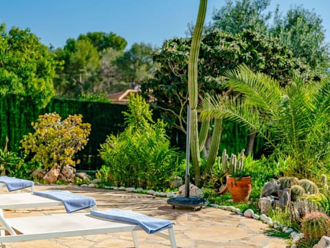 Green, Shrub, Garden, Swimming Pool, Outdoor Furniture, Shade, Flowerpot, Resort, Landscaping
