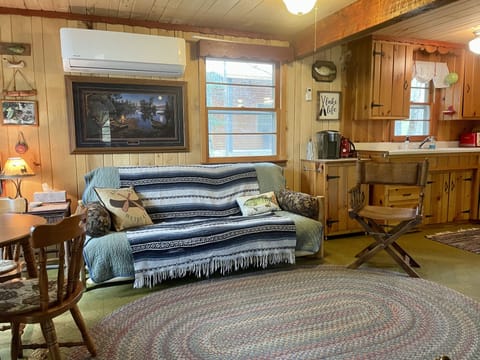 Cabin interior with mini split unit for temperature control