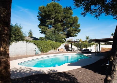 Backyard space- pool, patio, & outdoor seating/dining