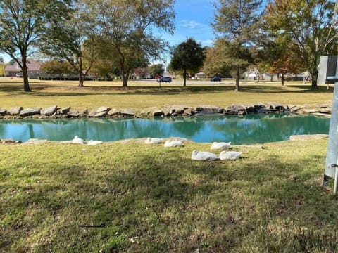 Local Brownsville park