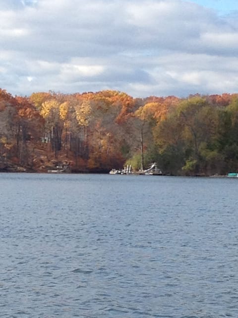 Lake shot - Autumn