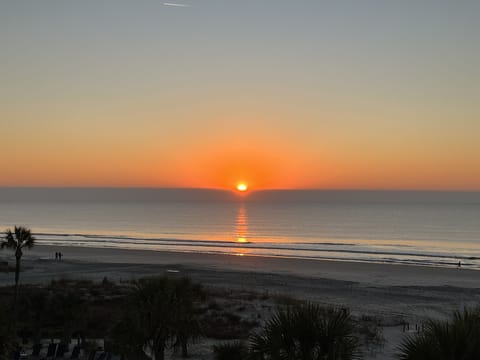 Photo is from the beach , not the condo.