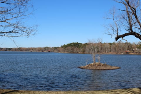 United Bay