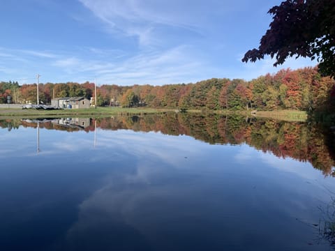 A view of the lake from our dock