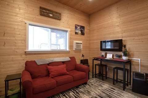 Living room area with pullout bed (linens for it are stored under the queen bed)