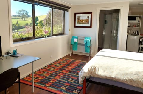 Access to the bathroom via the bedroom