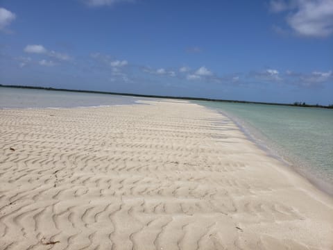 Exposed sand bank during low tide, just out your doors!