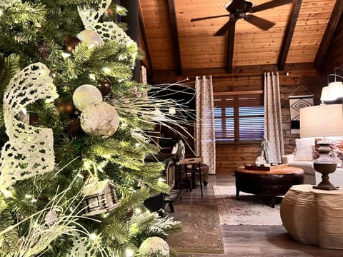 Christmas Decorations 