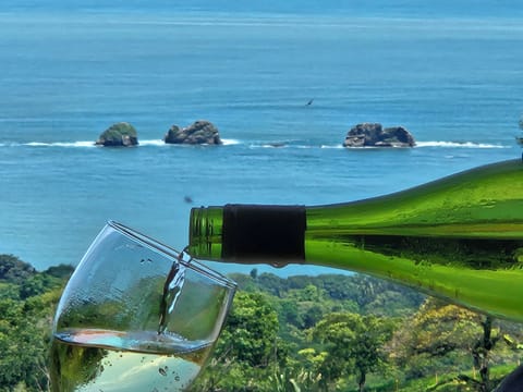 Cheers! The View from Villa 26.