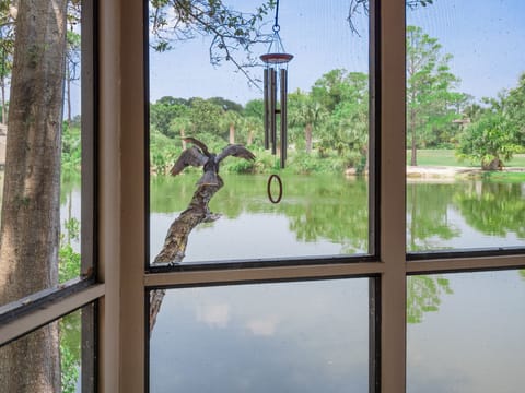 Wildlife on tree branches.  This is daily.