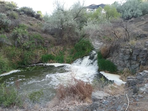 Waterfall Park nextdoor