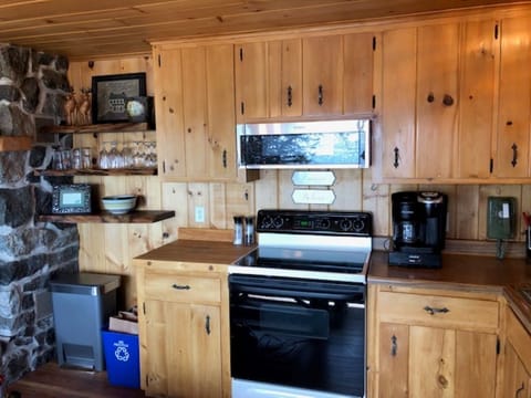 Brand new low profile microwave and custom walnut floating shelving!