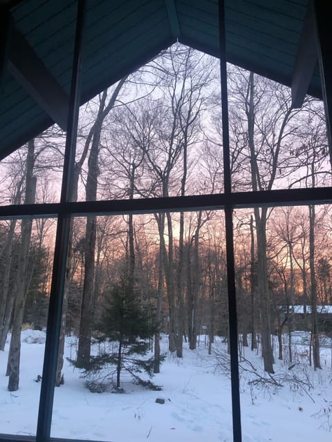 Sunrise view out main room window on January 23 2022