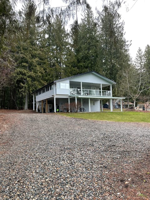 The house