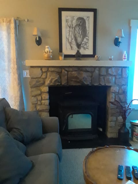 Living Room with Big Screen TV and pellet stove 