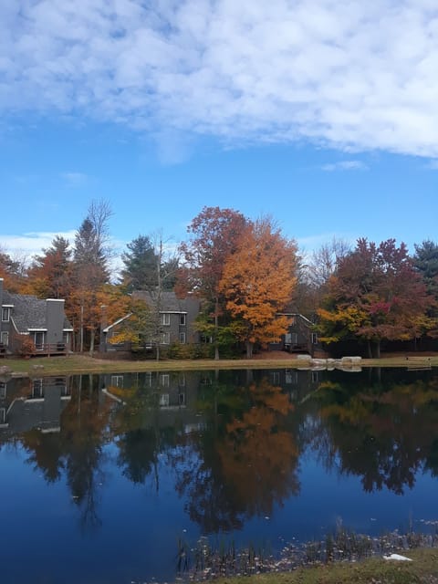 The beauty of Autumn on the Pond 