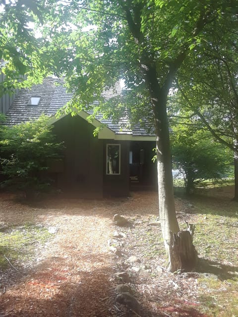 Our Chalet on the Pond!  