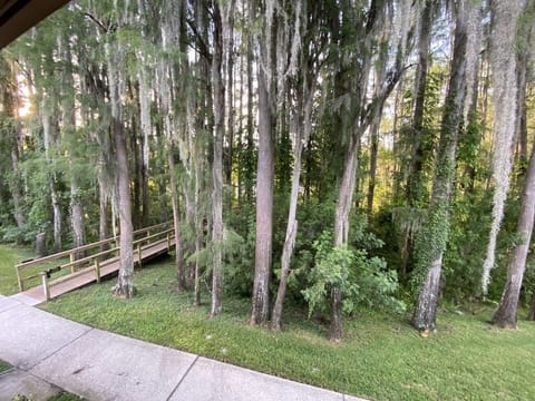 Your balcony view.  The walk way goes to a dock overlooking Paradise Lakes.