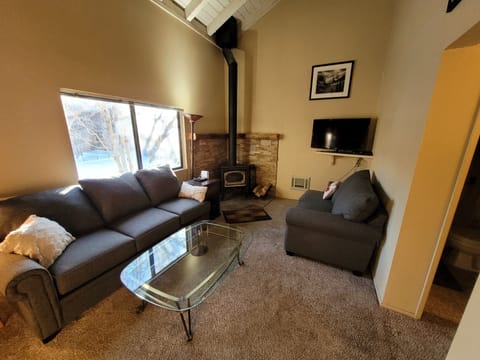 Living room with wood stove, pull out queen sofa
