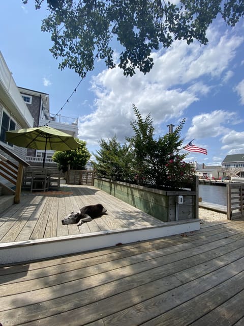 Outdoor dining area and water views from the hanging chairs in the tree