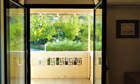 View from the window