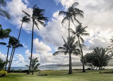 Big grassy area borders the beach