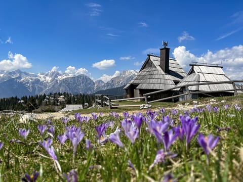 Chalet Kočna on Velika planina