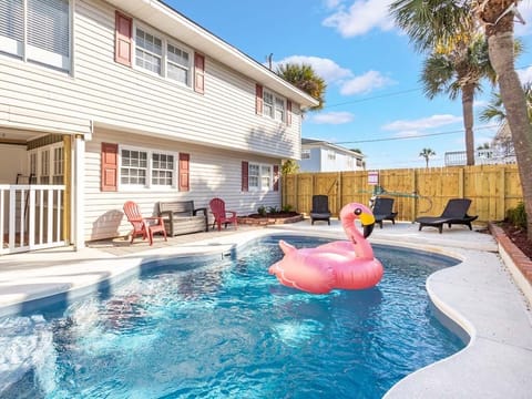 Welcome To Free Bird!