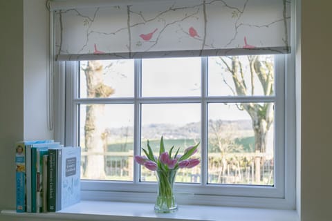 Stunning views from the kitchen window