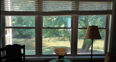 Looking out across the river to the undeveloped state park behind us.