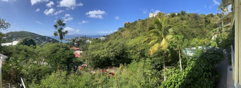 Beautiful views of Cruz Bay from the veranda.