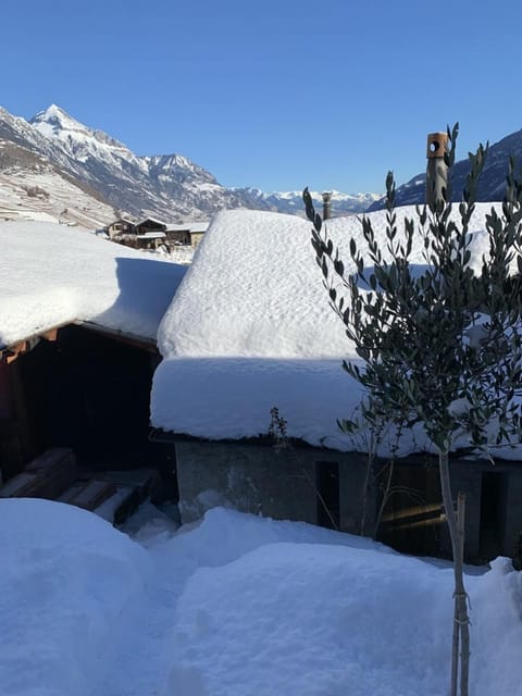 The house in winter