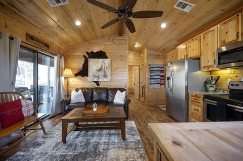 Main living area with queen pull out couch