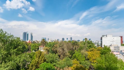View onto Parque Mexico from main room