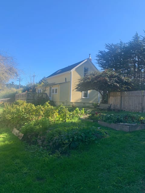 Your cozy Mendocino home!