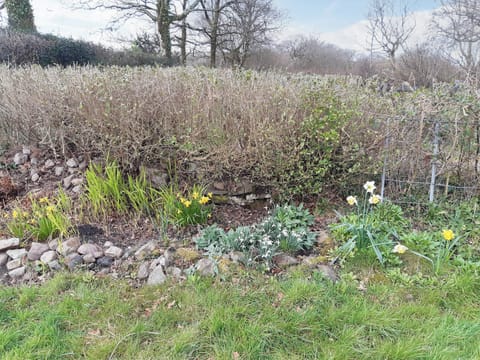 Garden | Tirmynydd Farm Cottage, Gower, near Swansea