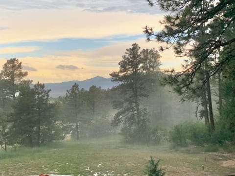 View from main level king suite