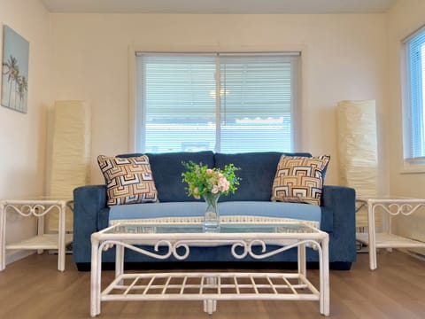 Sunroom Sofa Bed, new Sofa Bed, purchased on 10/2024