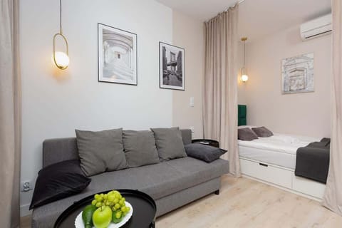 Spacious living room with full equipment. 