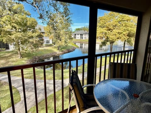 View from the balcony 