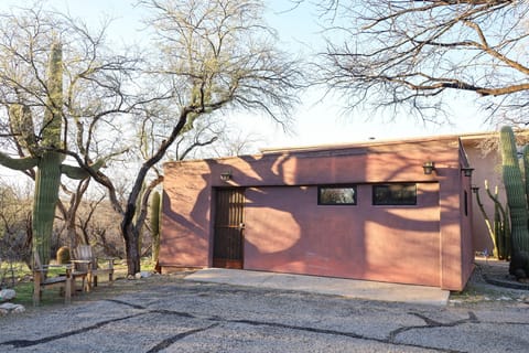 Afternoon light paints giant Saguaro shadows on the front of the casita.
