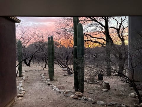 Chilly winter sunset.