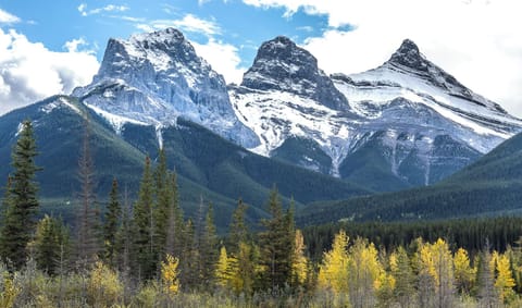 The Famous Three Sisters.