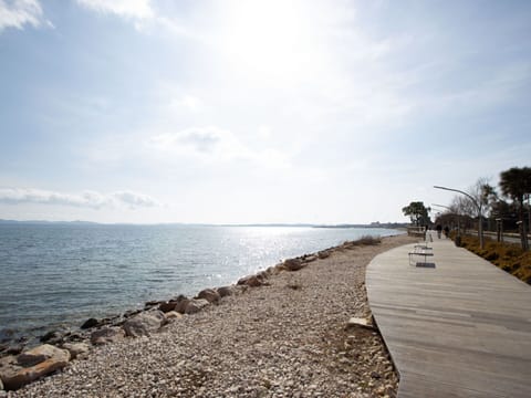 Cloud, Water, Sky, Water Resources, Tree, Plant, Wood, Coastal And Oceanic Landforms, Beach, Bank