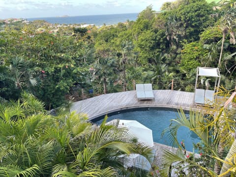Areal view