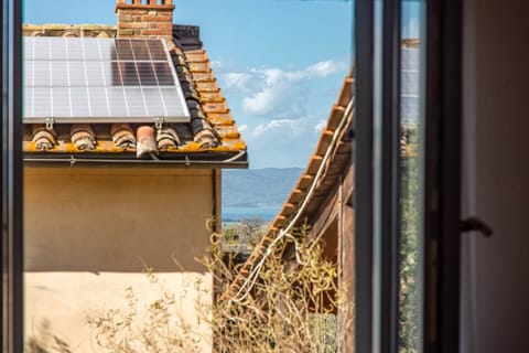 Casa Paciano, Vite (16)