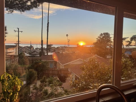 View from living room window.